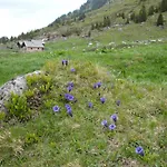 Apartmán Lerch